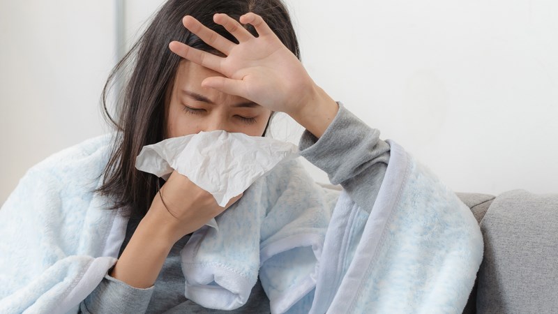Trà hoa nhài có tính kháng khuẩn,kháng virus giảm nguy cơ mắc bệnh cảm lạnh cúm