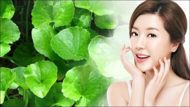 Lưu ý khi sử dụng rau má trị mụn