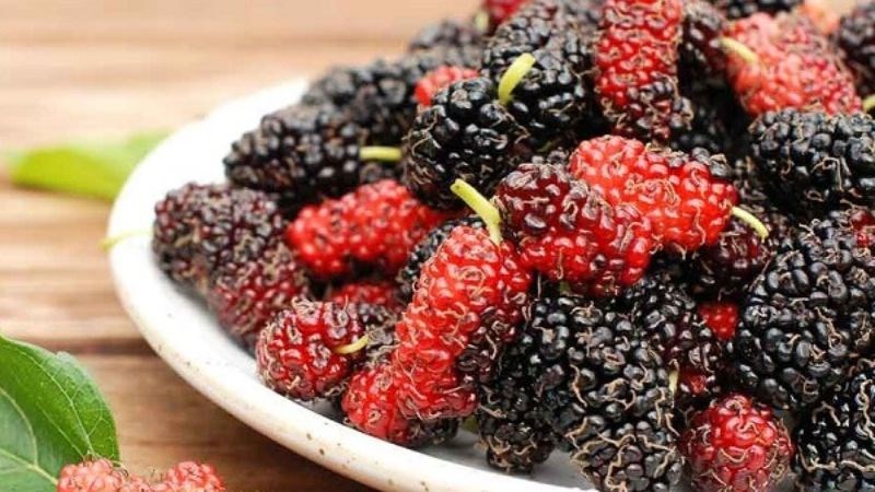 Ăn dâu tằm ngay sau bữa cơm có thể gây chướng bụng