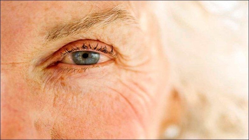 Vitamin E làm giảm khả năng tiến triển của bệnh rối loạn chức năng điểm vàng 