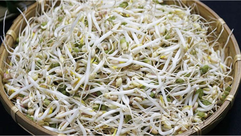 Bài thuốc giá đỗ giúp tăng cường khả năng tình dục ở nam giới