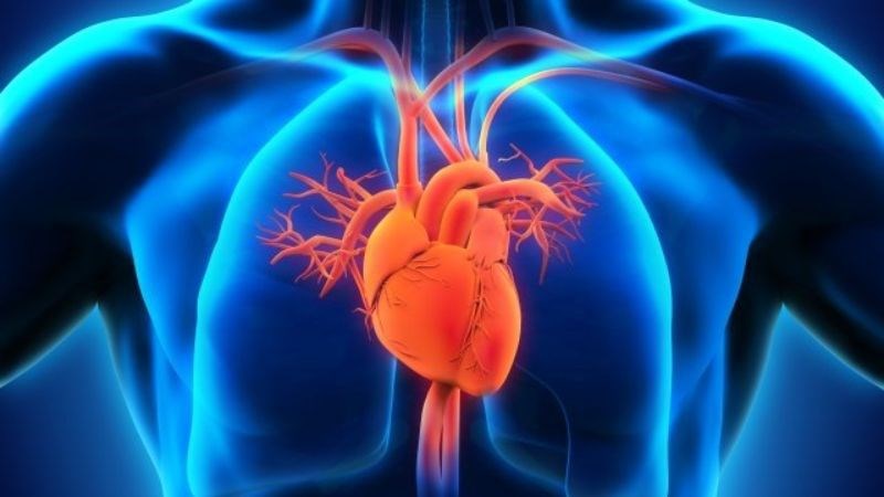 Hoạt động tình dục giúp giảm nguy cơ bệnh tim mạch