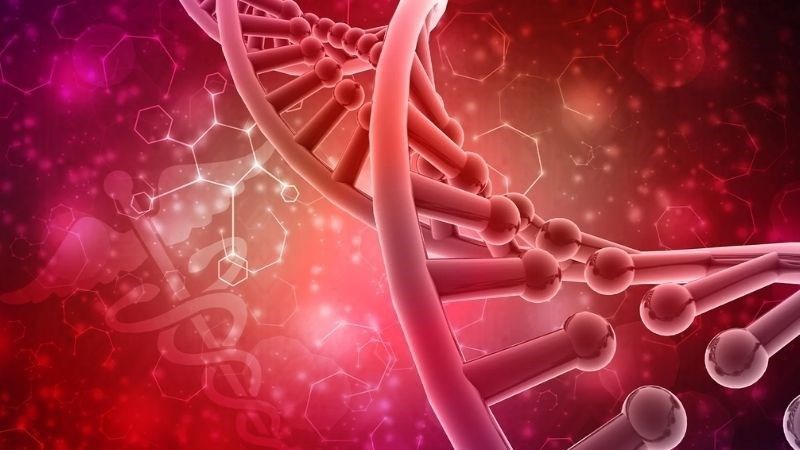 Quan hệ tình dục đều đặn có thể giúp điều hòa hormone