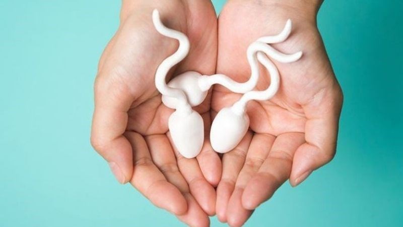 Quan hệ tình dục có thể gia tăng chất lượng tinh trùng
