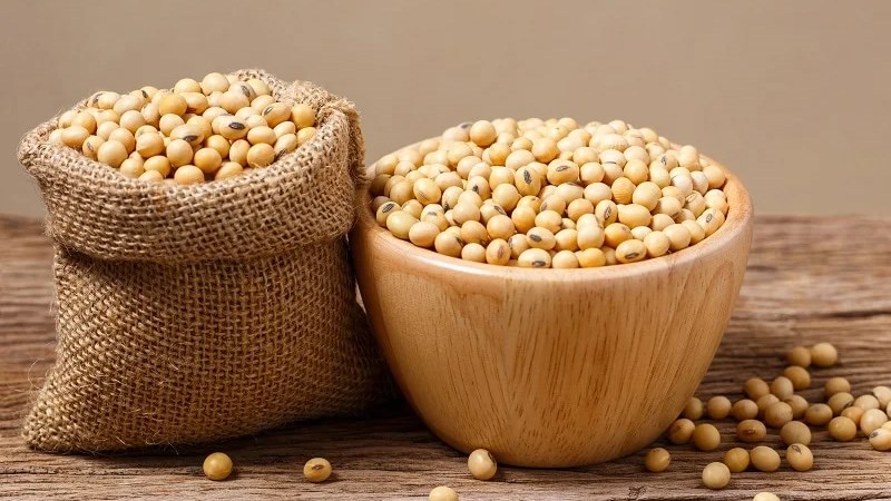 Đậu nành chứa isoflavone có thể làm giảm số lượng tinh trùng