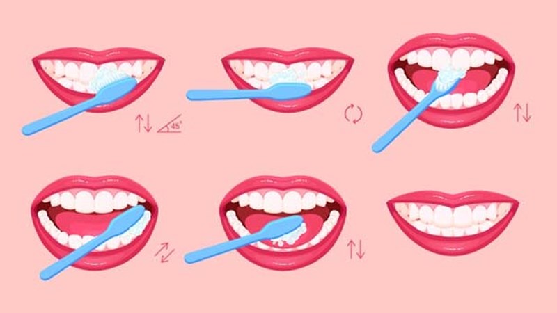 Chải răng đúng chiều rất quan trọng giúp bảo vệ cấu trúc răng Chải răng đúng chiều rất quan trọng giúp bảo vệ cấu trúc răng