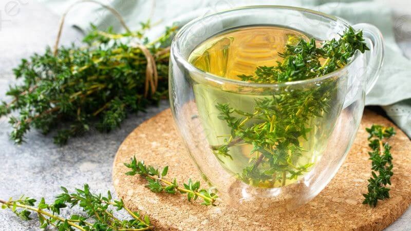 Trà cỏ xạ hương Trà cỏ xạ hương tốt cho phụ nữ bị đau bụng kinh