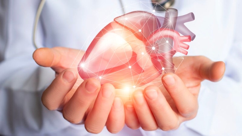 Cà chua giúp hỗ trợ sức khỏe tim mạch