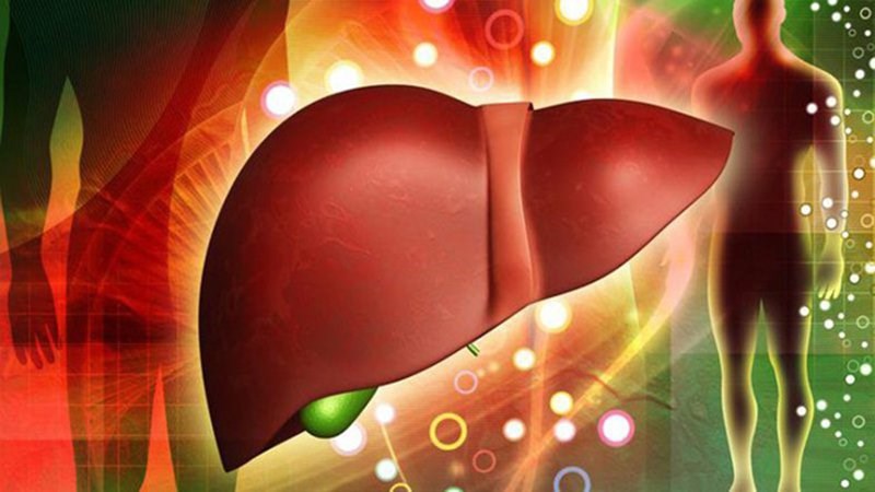 Cà phê chứa các hoạt chất giúp bảo vệ gan