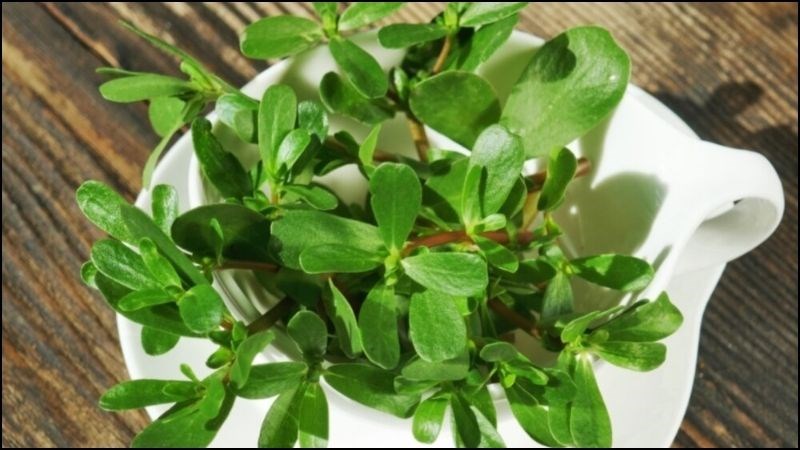 Không nên tiêu thụ quá nhiều rau sam trong một ngày