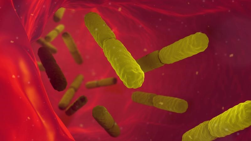 Nhiễm trùng máu là biến chứng đặc biệt nguy hiểm Nhiễm trùng máu là biến chứng đặc biệt nguy hiểm