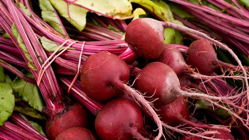 Rau dền và củ dền chứa nhiều chất dinh dưỡng tốt cho phổi Rau dền và củ dền chứa nhiều chất dinh dưỡng tốt cho phổi