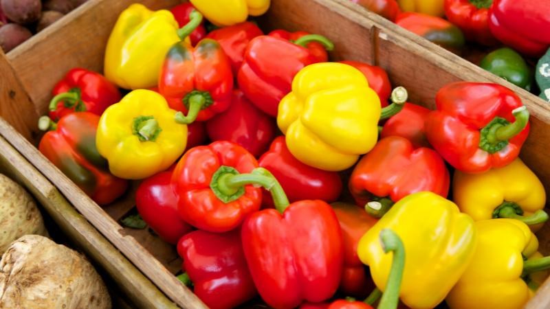 Ớt ngọt chứa nhiều vitamin C, bảo vệ chức năng phổi Ớt ngọt chứa nhiều vitamin C, bảo vệ chức năng phổi