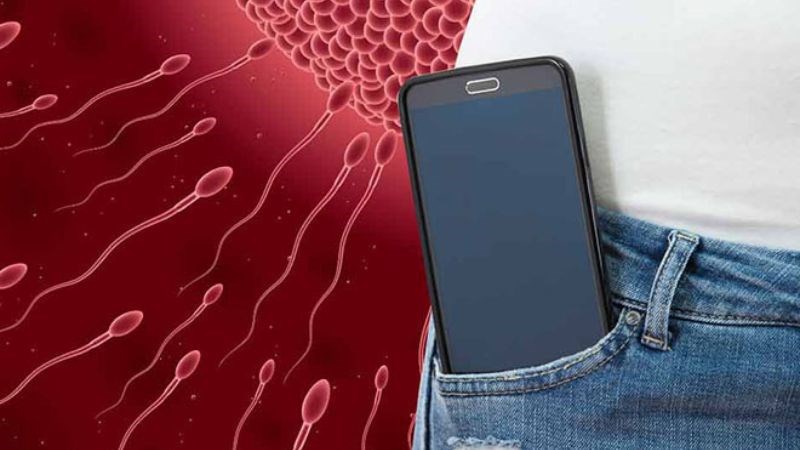 S&oacute;ng điện từ c&oacute; thể ảnh hưởng đến khả năng sinh sản ở nam giới