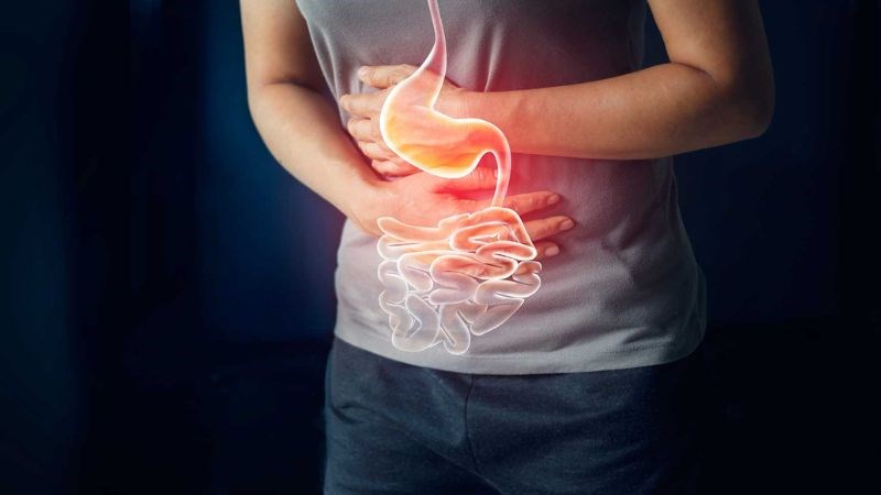  Chất chống viêm glucosinolates của bắp cải giúp giảm viêm loét dạ dày