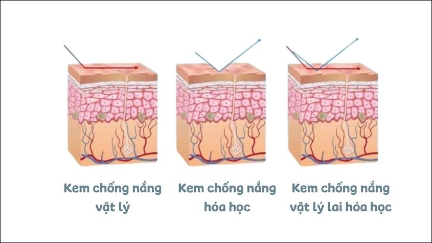 Cơ chế hoạt động của kem chống nắng vật lý lai hóa học