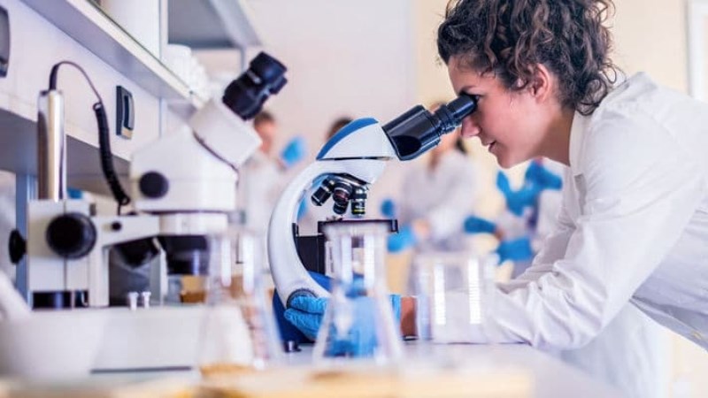 Thành tựu nổi bật của Laboratories Mayoly Spindler 