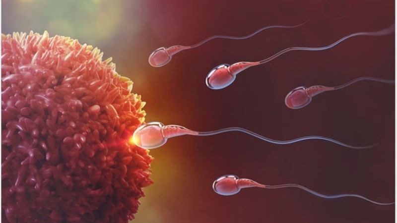 Tắm nước nóng có thể ảnh hưởng đến khả năng sinh sản của nam giới