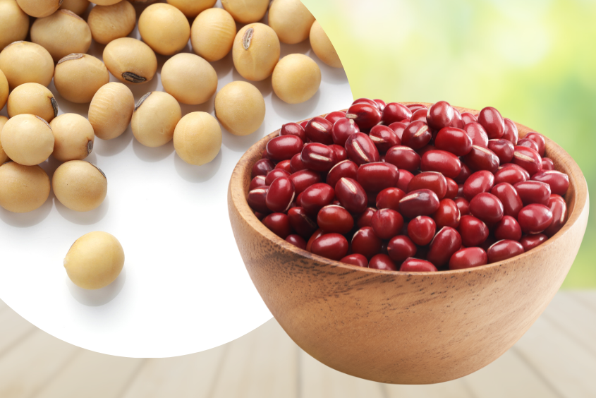 Cách nấu sữa đậu đỏ với đậu nành giàu canxi