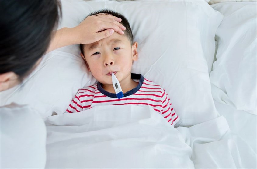 Gợi ý cách phòng bệnh sốt xuất huyết tại nhà