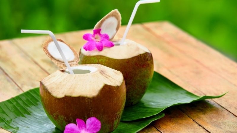 Nước dừa giúp tăng cường trao đổi chất