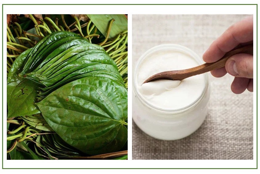 Mách mẹ cách làm mặt lá trầu không kết hợp với sữa chua không đường giúp cải thiện tình trạng khô da