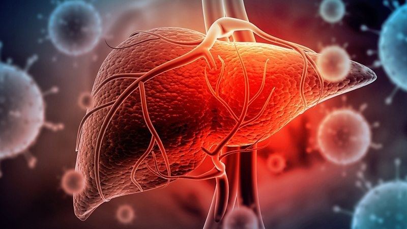 Rối loạn chức năng gan làm thay đổi nồng độ bất thường của estrogen và testosterone