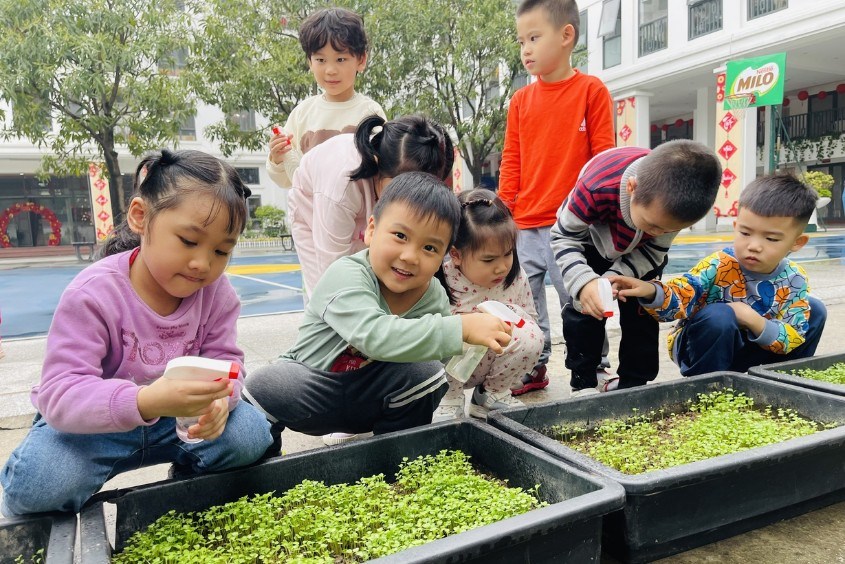 Hoạt động trồng rau tại Trường Vietkids