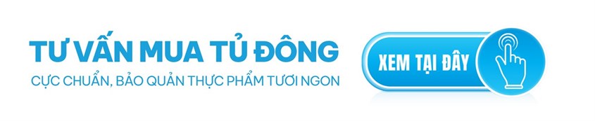 Tư vấn mua tủ đông