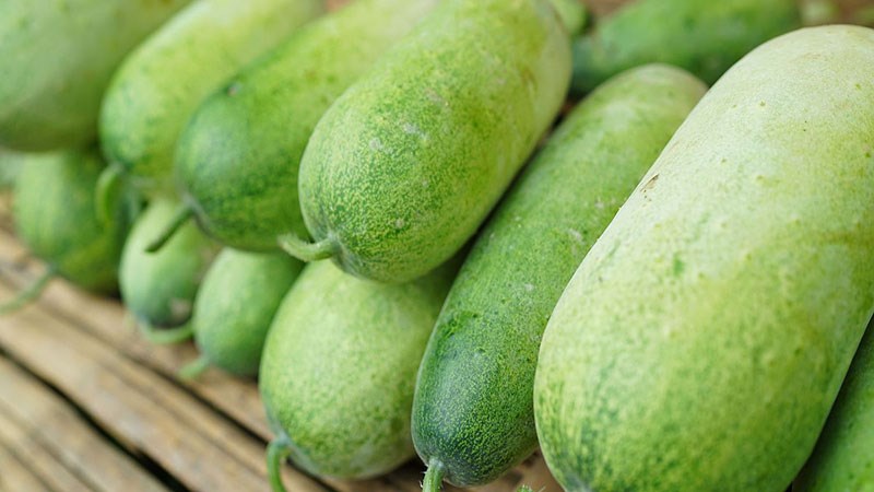 Bí đao là loại quả rất giàu chất dinh dưỡng
