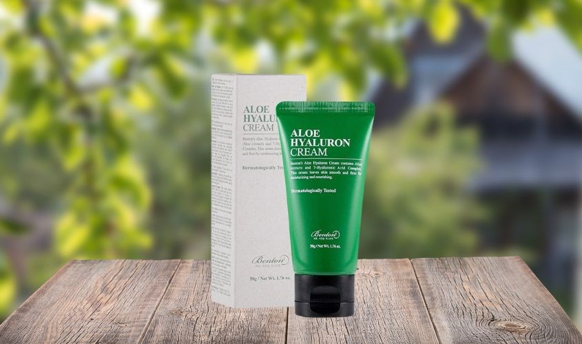 Kem dưỡng ẩm nội địa Hàn Benton Aloe Propolis Soothing Gel cho da dầu