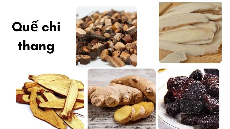 9-bai-thuoc-tu-que-hay-ho-tro-chua-benh-hieu-qua-4