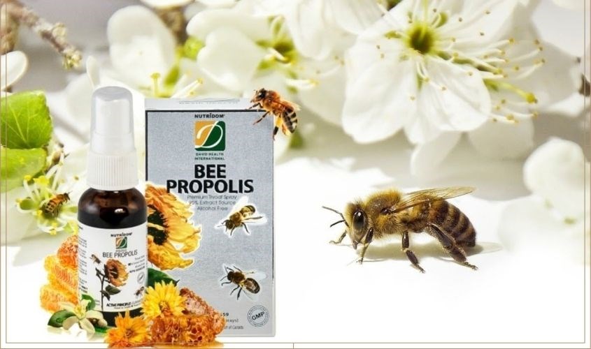 Xịt hong Bee Propolis Spray Kids