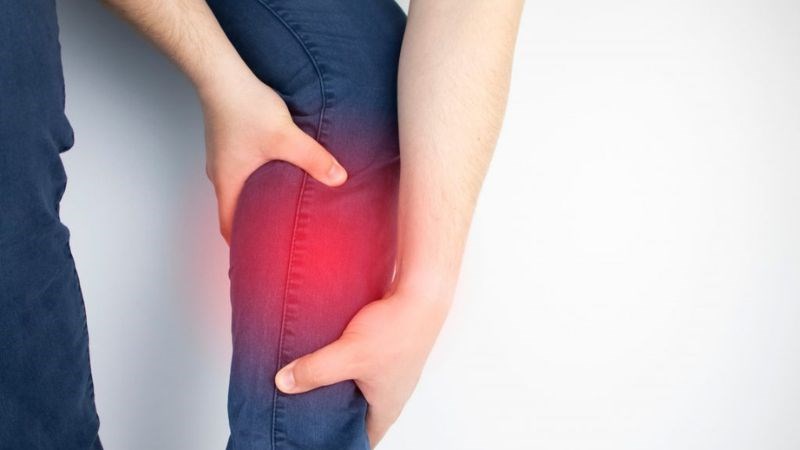 Hoa hoè có tác dụng chống viêm