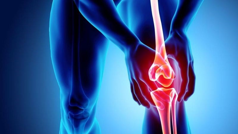 Hoa hoè có tác dụng điều trị viêm khớp
