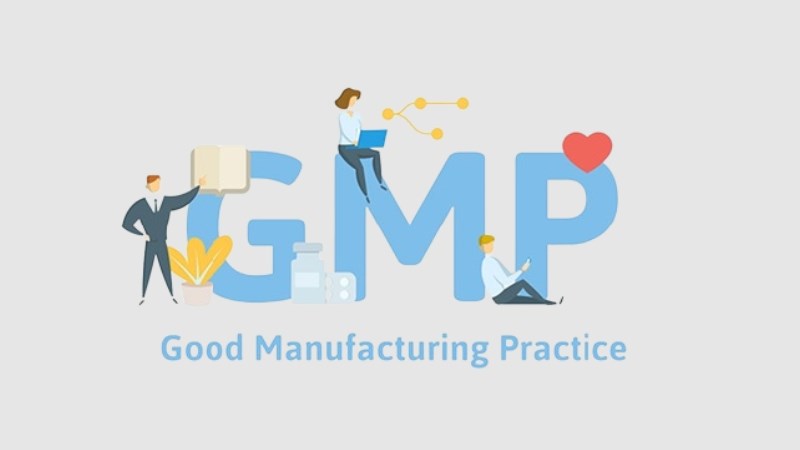 Nhà máy của nhận được chứng nhận GMP 