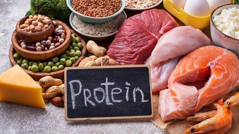 Thực phẩm giàu protein rất cần thiết cho một chế độ ăn khoa học