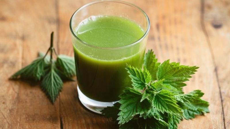 Sinh tố lá tía tô giúp ngăn ngừa hình thành hắc sắc tố