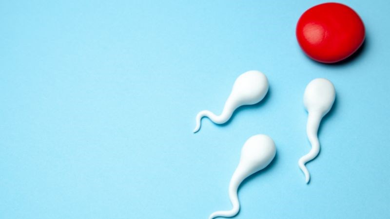 Ngủ nude có tác dụng tăng cường chất lượng tinh trùng