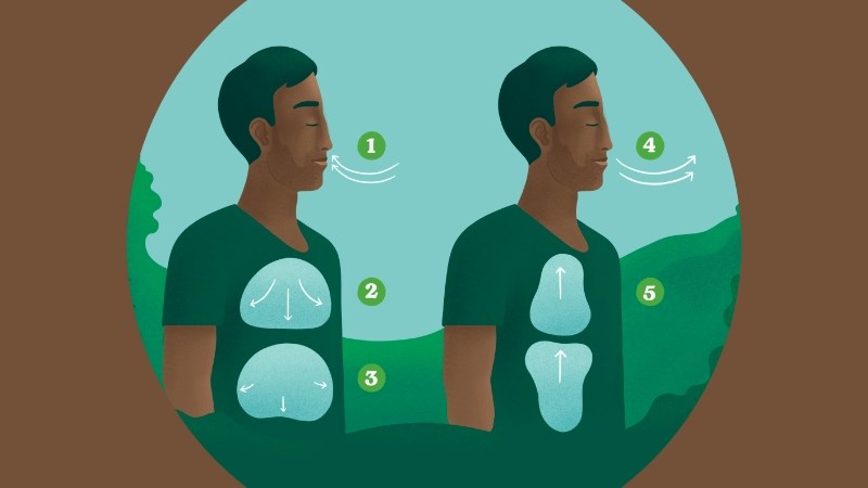 Hít thở sâu bằng cơ hoành giúp kiểm soát hơi thở khi chạy tốt hơn Hít thở sâu bằng cơ hoành giúp kiểm soát hơi thở khi chạy tốt hơn