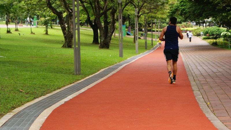 Không khí trong lành sẽ giúp bạn dễ thở hơn và cải thiện tâm trạng Không khí trong lành sẽ giúp bạn dễ thở hơn và cải thiện tâm trạng