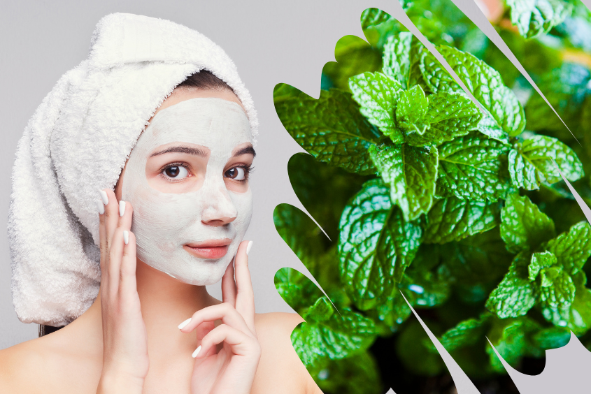 Cách làm mặt nạ bạc hà giúp điều trị mụn