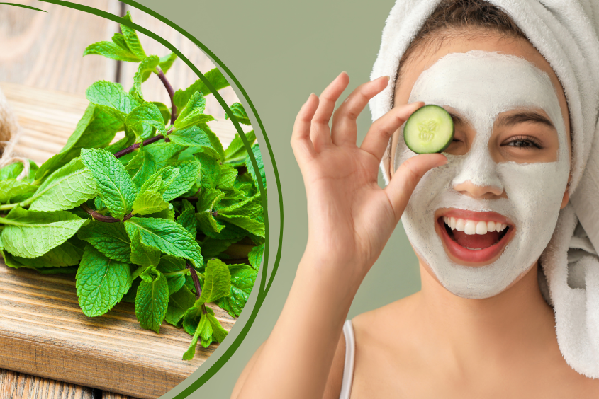 Cách làm mặt nạ bạc hà với dưa leo dưỡng sáng da