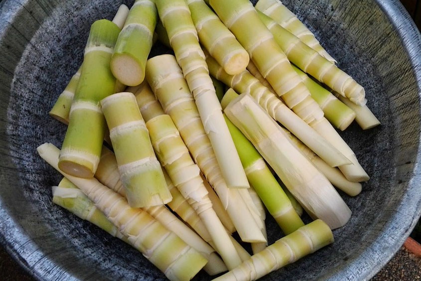 Măng sống là một trong những loại thực phẩm mẹ bầu nên tránh xa