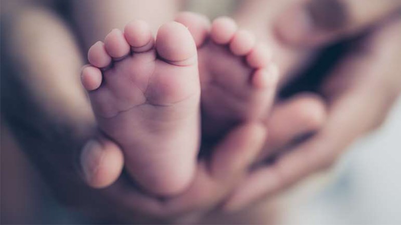 Cây lá đắng còn giúp tăng cường khả năng sinh sản