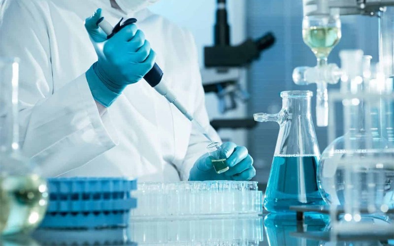 Công ty còn có hơn 100.000 mét vuông không gian phòng thí nghiệm với cơ sở hạ tầng hiện đại
