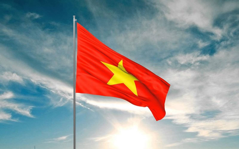 Hiện nay, công ty đã sở hữu nhiều chi nhánh cũng như đại lý trên khắp 63 tỉnh thành trên cả nước.