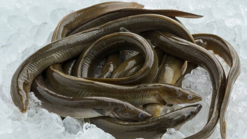 Cải bó xôi ăn cùng với lươn có thể gây tiêu chảy
