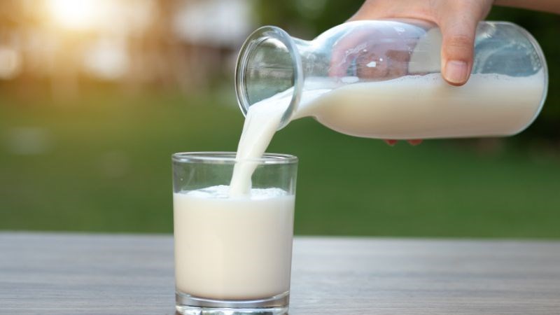 Cải bó xôi kết hợp với sữa có thể gây táo bón