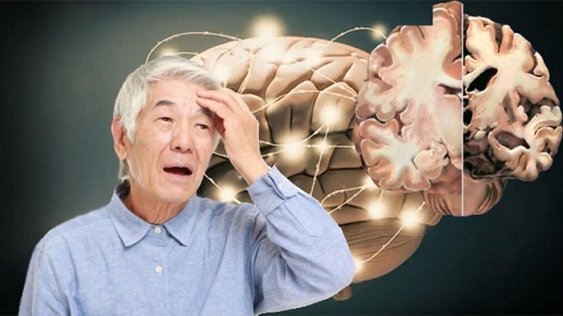 Quả sung giúp kiểm soát triệu chứng của bệnh Alzheimer